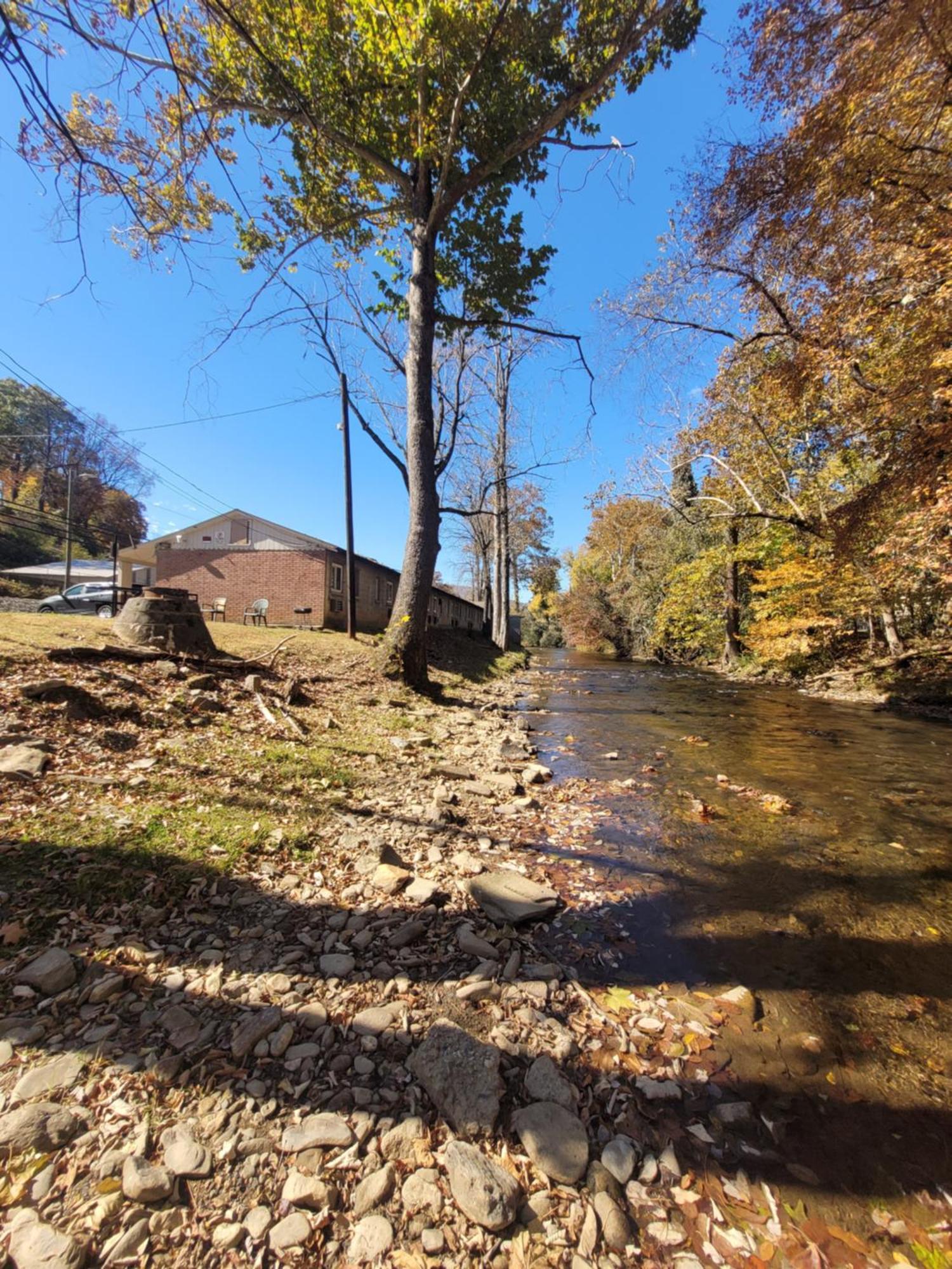 8 Central Hotels Near Pisgah National Forest That Deliver