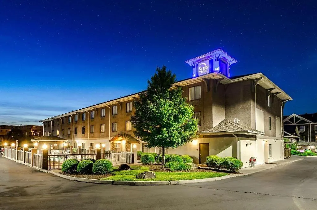 4 Budget Hotels Near River and Earth Adventures Inc for Easy Access